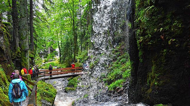 Viele Menschen wandern gerne &ndash; auch am Wasserfall in Menzenschwand (Foto) vorbei. Der Schwarzwaldverein St. Blasien wird aber ...