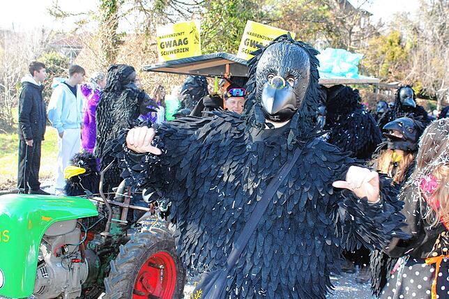 Bild 2: Fasnacht-Umzug 2025 in Wutöschingen: 41 Gruppen bringen viel Freude