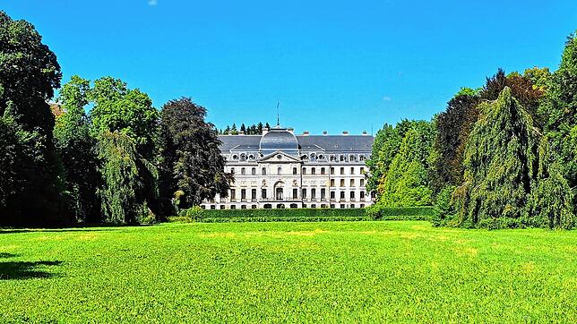 Ein Blick aus dem Park auf das Schloss.