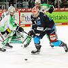 Brandon DeFazio (vorne) will alles dafür tun, dass die Wild Wings die Playoffs erreichen.
