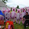 Bild :
