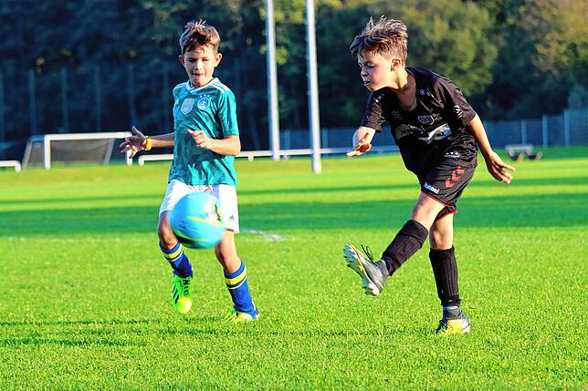 Bild 1: Auch die Jugendfußballer starten in die Saison. Wir haben Bilder vom E-Jugendtraining des SV Allensbach!