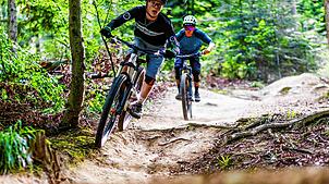 Eine geplante Strecke für Mountainbiker polarisiert – der Ortschaftsrat Nordschwaben stimmt dafür. Der Jagdpächter und Tierschützer sind ...