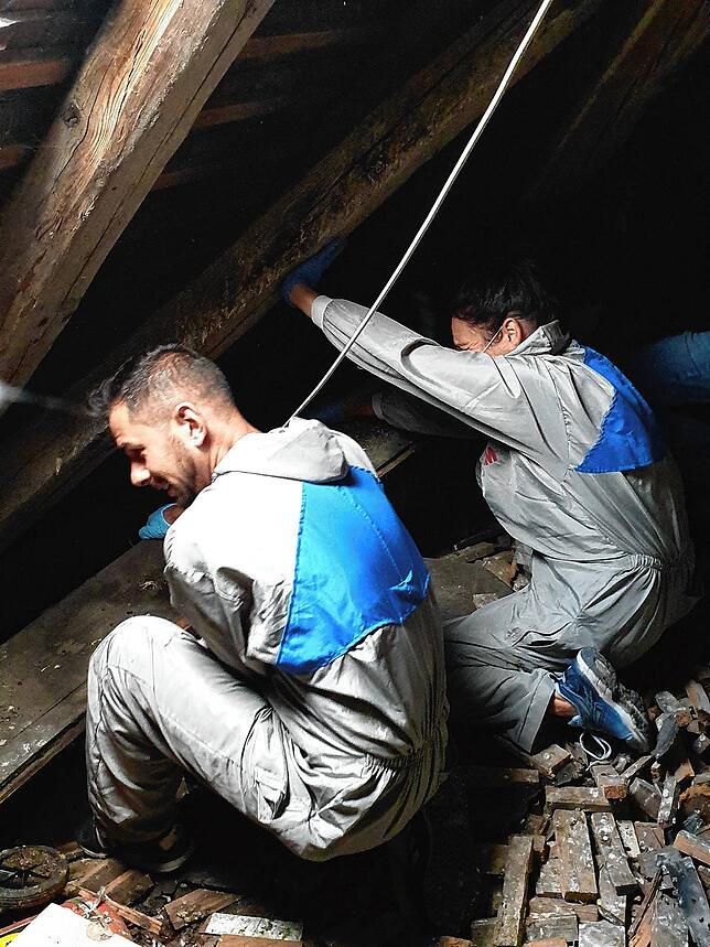 Zwei Tierschützer der Taubenhilfe kontrollieren die Nester auf dem Dachboden der Färberstraße 12.