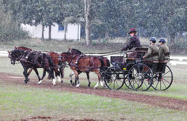 Donnerstag und Freitag ziehen immer wieder Regenschauer über das Reitturnier-Gelände, hier fährt ein Gespann am Freitag durch den ...