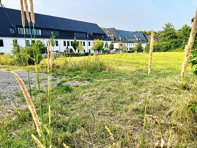 Auf der grünen Wiese vor der Swiss International School ist eigentlich ein Parkdeck für den Fallenbrunnen geplant. Hier könnte für die ...