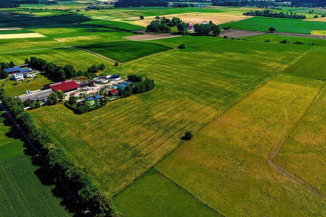 Auf dieser Fläche in der Nähe des Ankenbuck (im Hintergrund) soll eine 13 Hektar große Freiflächen-Photovoltaik-Anlage entstehen.