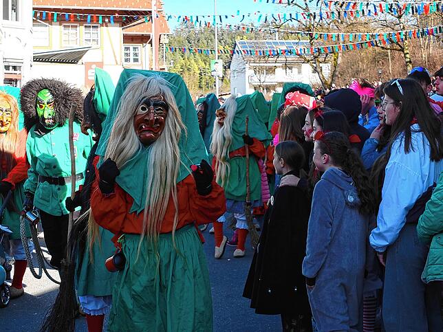 Bild 5: Großer Jubiläumsumzug der Narren in Niedereschach – Teil 1