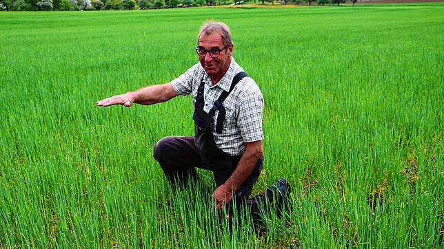 Landwirt Emil Veit aus Engen-Anselfingen zeigt auf dem Acker, wie hoch die Wintergerste um diese Zeit normalerweise schon steht. Er ...