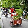 Die Rodung von Bäumen ist ein globales Problem, wie Aktivisten des Vereins Pro Amazonia Konstanz bei der musikalischen Fahrraddemo ...