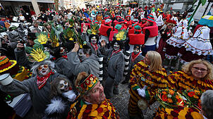 Buntes Treiben in Radolfzell: Die Veranstaltungen, hier der Sonntagsumzug, zogen an der Fasnacht viele Menschen an.