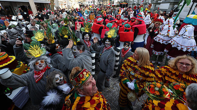 Buntes Treiben in Radolfzell: Die Veranstaltungen, hier der Sonntagsumzug, zogen an der Fasnacht viele Menschen an.