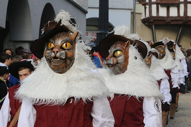 Die Rällekopf aus Hipptesweiler mit ihren schönen Katzenmasken.