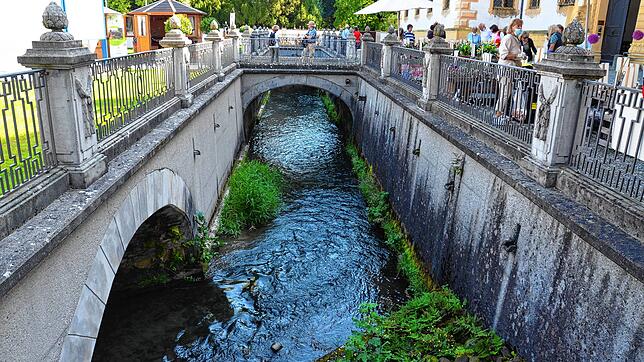 Die Wassersysteme in Kloster und Schloss Salem wurden über die Jahrhunderte zwar modernisiert, gehen in ihren Ursprüngen aber auf die ...