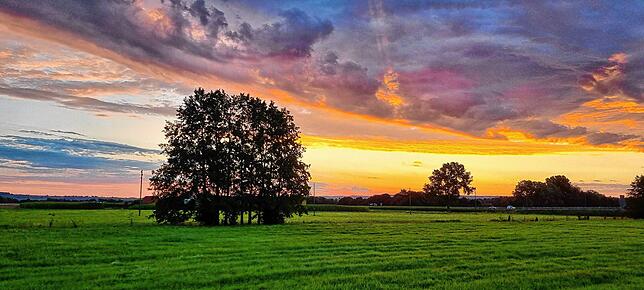 „Mein Bild wurde in Hüfingen auf Hohen 2 bei meiner Morgenrunde kurz vor Sonnenaufgang aufgenommen“, schreibt Heike Boeke zu diesem Bild.