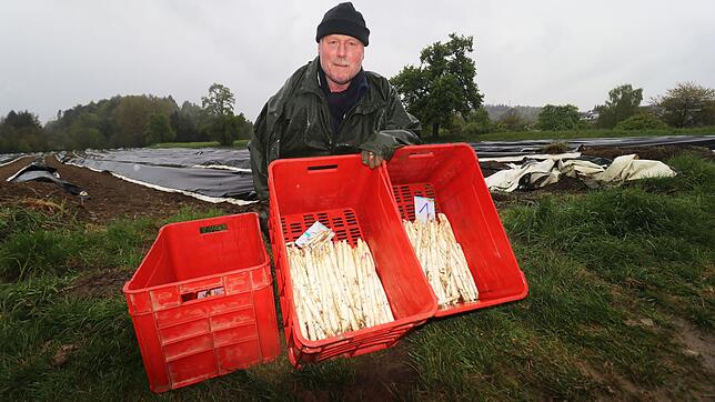 Spargelbauer Andreas Volz aus Meersburg muss mit seinem Team sogar bei Regen aufs Feld, um Spargel für den eigenen Hofladen zu stechen.
