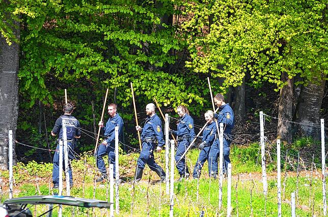 Die Suche nach dem Vermissten Gino Bornhauser aus Eglisau wurde eingestellt. Ein 33- jähriger Brasilianer aus Rafz hat inzwischen die ...
