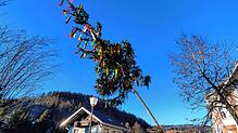 Fast geschafft: nur noch wenige Meter, dann steht der Todtmooser Narrenbaum in der Senkrechten.