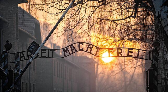 Der Schriftzug „Arbeit macht frei“ über dem Tor des KZ Auschwitz I. Die Tötungen von Häftlingen mit der Phenolspritze – wie von Bodman ...