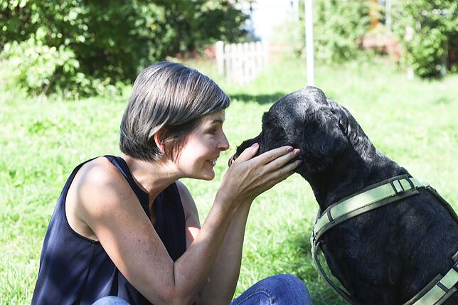Den Kopf halten und den Hund direkt fixieren: Kurt zeigt mit seinen angelegten Ohren, dass ihm diese Situation nicht gefällt.