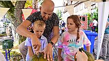 Bild : Herbstliches Flair beim Kürbisfest