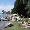 Bild :