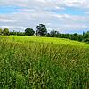(Archivbild von Mai 2024) Das zukünftige Baugebiet Lindenbühl West der Gemeinde Reichenau wird derzeit noch landwirtschaftlich genutzt. ...