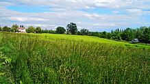 (Archivbild von Mai 2024) Das zukünftige Baugebiet Lindenbühl West der Gemeinde Reichenau wird derzeit noch landwirtschaftlich genutzt. ...