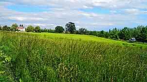 (Archivbild von Mai 2024) Das zukünftige Baugebiet Lindenbühl West der Gemeinde Reichenau wird derzeit noch landwirtschaftlich genutzt. ...