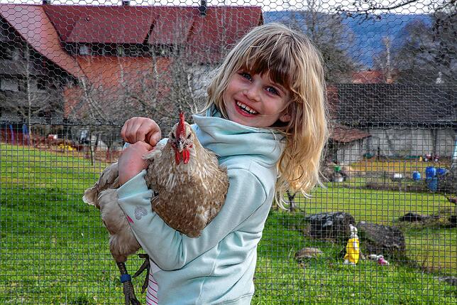 Die kleine Leah, 6, mit einem der Familienhühner.