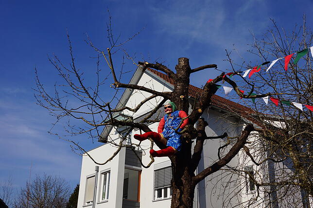Bild 49: Küssaberger Narrentreffen 2025: Rheinheim feiert Fasnacht