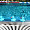 Schwimmen wie Entenfamilien: Sollte das Freibad Tiengen öffnen dürfen, werden Besucher wieder mit Abstand hintereinander im ...