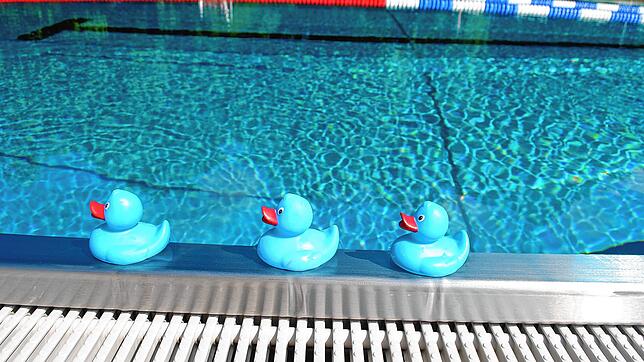 Schwimmen wie Entenfamilien: Sollte das Freibad Tiengen öffnen dürfen, werden Besucher wieder mit Abstand hintereinander im ...