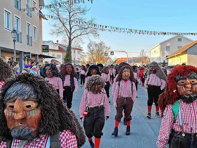 Bild 12: Alle Bilder vom Jubiläumsumzug Bockzunft Stetten am kalten Markt