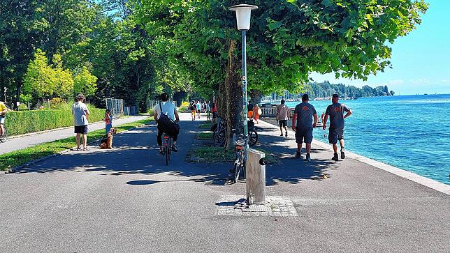 Spaziergänger, Radfahrer und Sonnenhungrige begegnen sich auf der prominentesten Konstanzer Flaniermeile. Dies führt mitunter zu Konflikten.