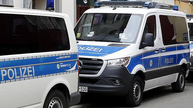 (Symbolbild) Von den Schweizern wurde der Betrüger festgenommen und der Bundespolizei übergeben.