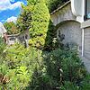 Der Salemer Hubert Volz steht auf dem Friedhof in Stefansfeld am Grabmal mit dem Bildstock für die Opfer des Unglücks am ...