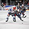 Die Schwenninger Wild Wings um Ben Marshall (links) setzen sich am Ende mit 5:3 gegen die Adler Mannheim (rechts Jordan Szwarz) durch. ...