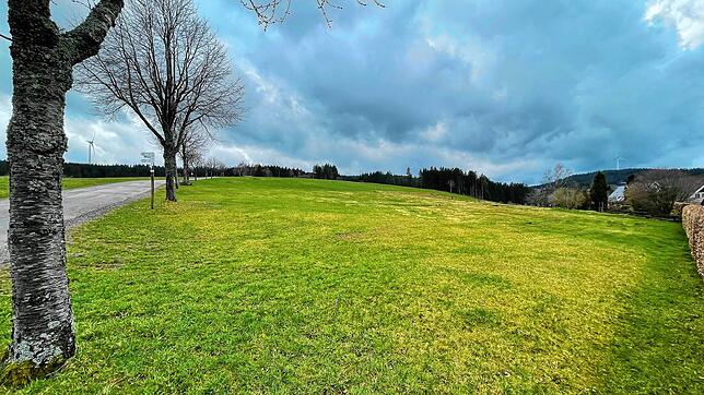 Für das Gebiet Höfleberg in Schonach ist ein aktualisierter Bebauungsplan in Arbeit. Dieser soll dann ab Montag, 17. Februar, bis 19. ...