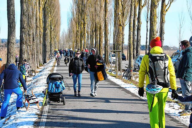 Bild 5: Das Eis ist da! Zahlreiche Kufen-Freunde waren am Sonntag zwischen Hegne und der Reichenau unterwegs. Die Kälte sorgte außerdem für tolle Eisskulpturen