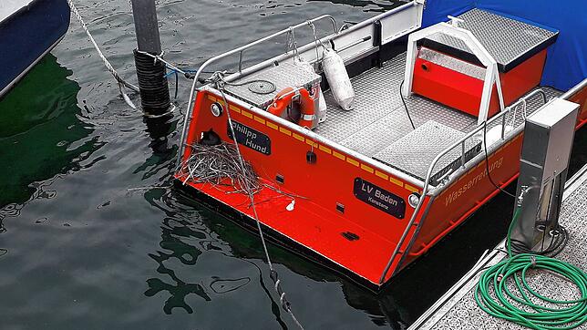 Das DLRG-Boot in Staad hat einen Gast. Ein Blesshuhn hat dort sein Nest gebaut und brütet.