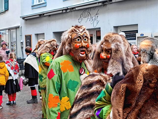 Bild 16: So schön ist der Wäldertag in Bad Säckingen (2)