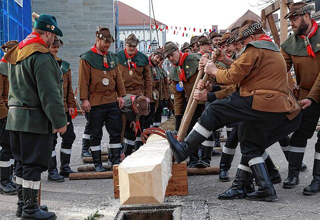 Bild 12: Bilder vom Narrenbaumstellen in Radolfzell