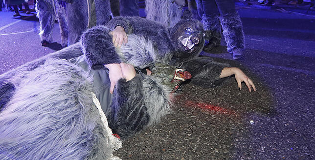 Bild 28: Bilder vom Nachtumzug in Pfohren