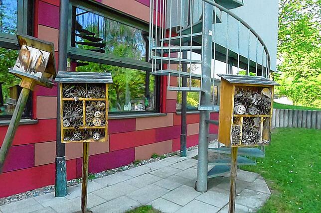 mdx 19 deg insektenhotel_3 Gleich zwei Insektenhotels stehen bei der Grundschule in Deggenhausertal. Rektorin Maike Steininger hat die Häuser auf ihrer langen ...