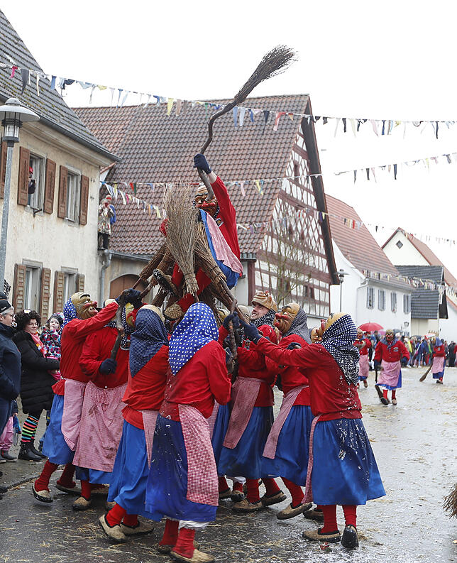 Bild 20: Bilder zum großen Narrentreffen in Pfohren (3)