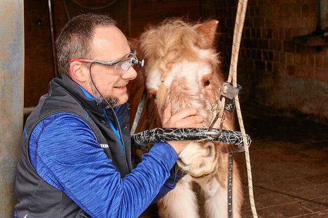 Streicheleinheit für Topsi: Nach rund 20 Minuten hat das Pony die Behandlung überstanden.