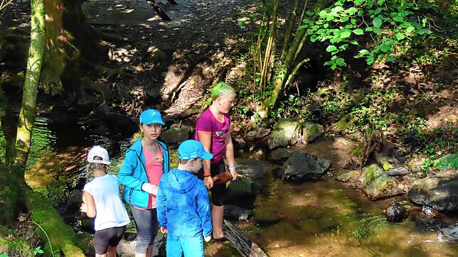 Die jungen Bachforscher erkunden den Lebensraum Gießenbach und finden allerlei Getier. Foto: Gerd Leutenecker