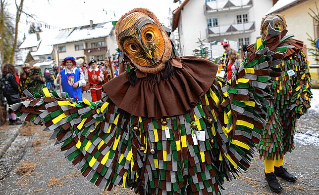 Die Eule ist die zentrale Figur der Rohrdorfer Eulenzunft.