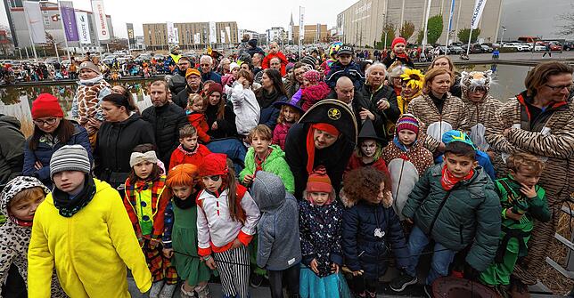 Bild 8: Bilder vom Kindernarrenbaum-Stellen in Radolfzell